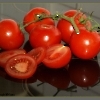 Lecker Fruchtige Tomaten